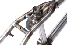 Legend Bike Co | Former Pro - Frame and Fork