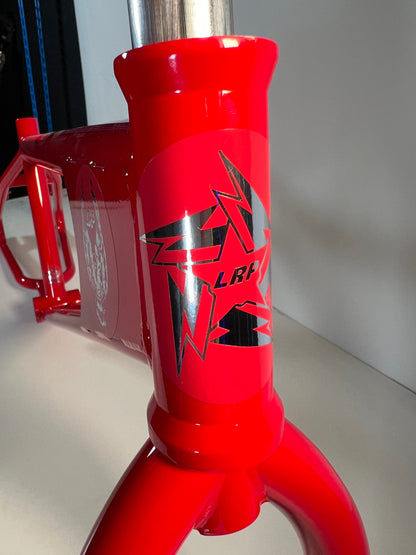 LRP 20 race frame — chainstay detail