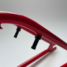 2025 Legend Bike Co | Former Pro - Frame and Fork